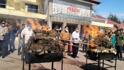 Kapolda Aceh Pimpin Pemusnahan 226 kg Sabu dan 1,2 ton Ganja