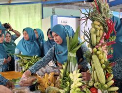 Pj Ketua TP-PKK Aceh Kunjungi Gampong Padang Seurahet Aceh Barat