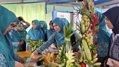 Pj Ketua TP-PKK Aceh Kunjungi Gampong Padang Seurahet Aceh Barat