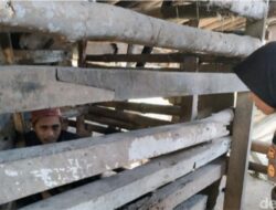 Kakak Adik di Sukabumi Dikurung di Kandang Kambing