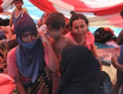 UNHCR Desak Indonesia Selamatkan Ratusan Pengungsi Rohingya di Perairan Aceh Selatan