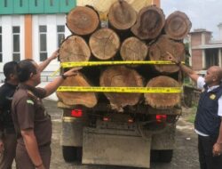 Polda Aceh Serahkan Dua Tersangka Illegal Logging ke Jaksa
