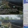 Proyek Bioflok Pokir Oknum Anggota DPRA Senilai Rp4 Miliar di Bireuen Gagal, Lokasi Jadi Semak Belukar