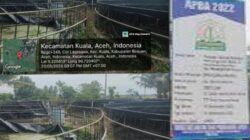 Proyek Bioflok Pokir Oknum Anggota DPRA Senilai Rp4 Miliar di Bireuen Gagal, Lokasi Jadi Semak Belukar