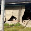 Sejumlah Rumah Rusak Akhibat Gempa Bumi di Aceh Selatan